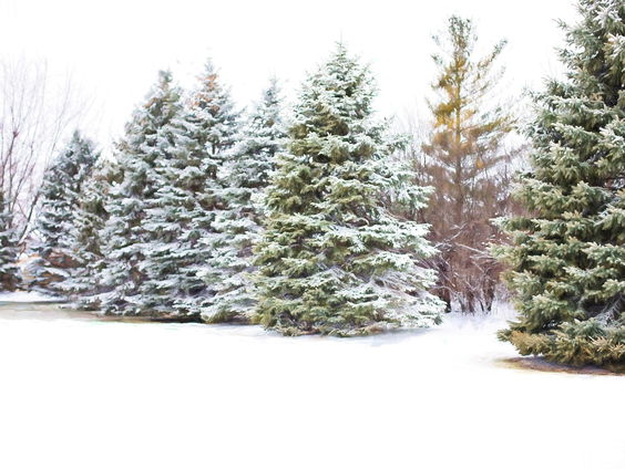 Kettingreactie 16 december 2024