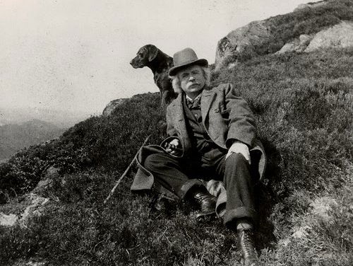 Kettingreactie 2 augustus 2024