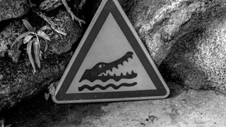 Lekkere Track: Fata Morgana