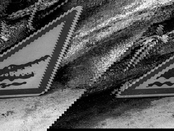 Lekkere Track: Fata Morgana