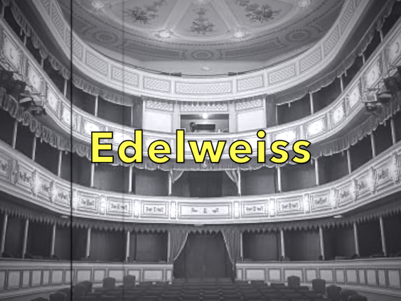 De Karaokemachine: Edelweiss