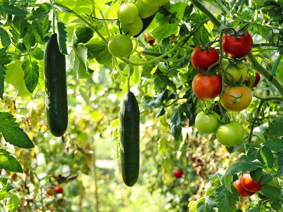 Kettingreactie 20 september 2024