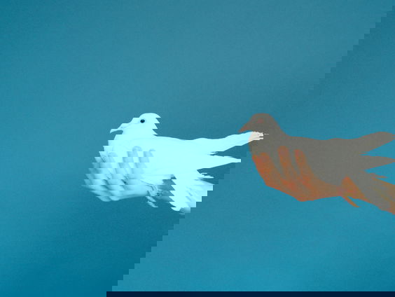 Lekkere Track: Verheug je