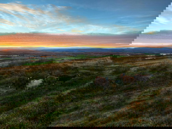 RadioReisDienst: Ronddwalen in Ierland