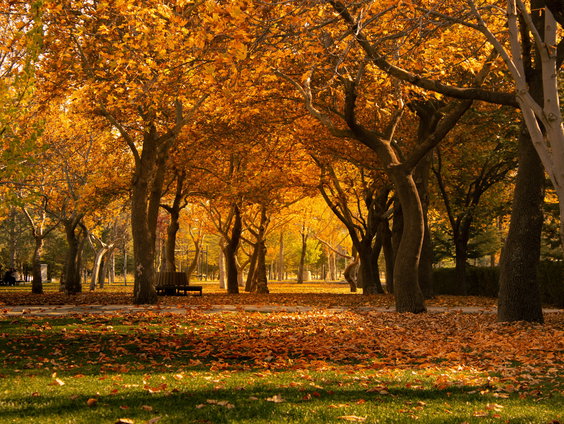 Lekkere Track: Zin in de herfst