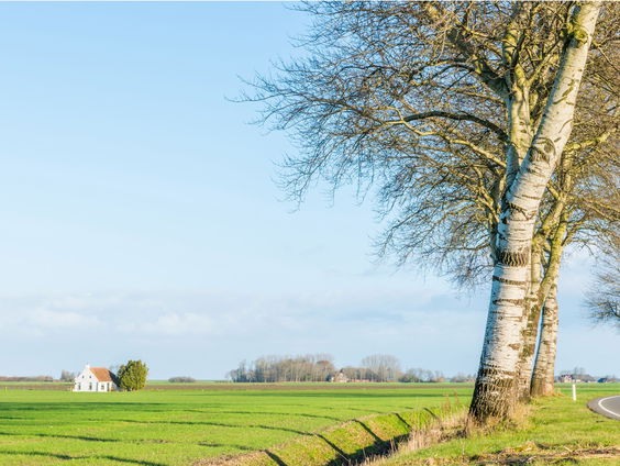 De Kortste Spreekbeurt: Het Hogeland