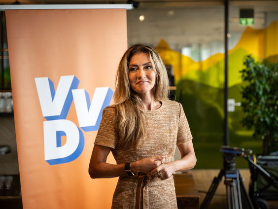Wat wil de VVD met Nederland?