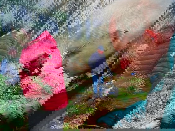 Mensen met dementie doen klusjes in de natuur