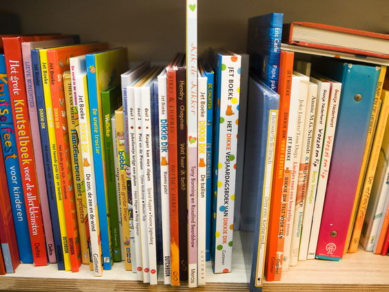 Aisha Plein over vijf inclusieve kinderboeken