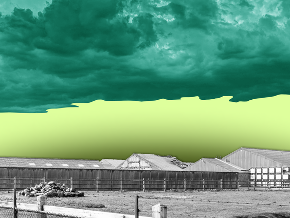 Luchtvervuilingskosten