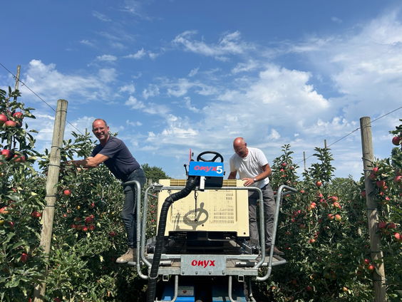 Fruitsector blij met goede oogst: 'Alles is perfect'