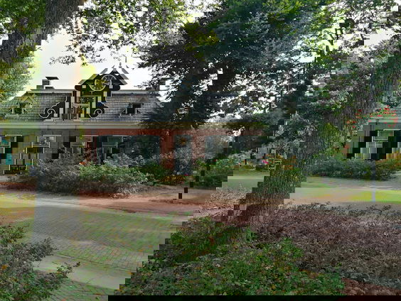 Hoe begon het Museum Valse Kunst?