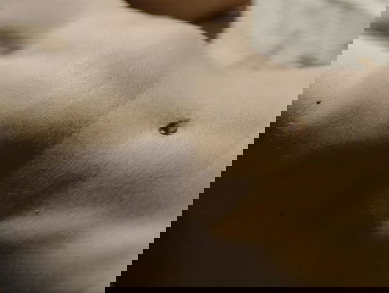 Hoe werkt lichaamsdonatie?