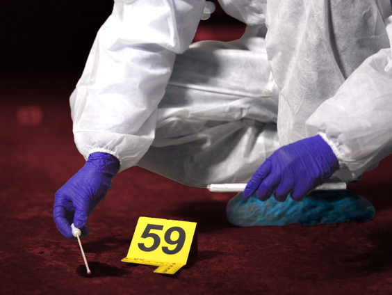 Pointer special: De impact van cold cases - 09 mei 2026 - NPO Radio 1 ...