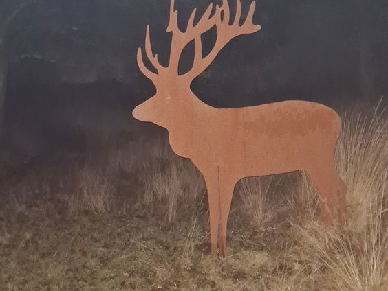 Live in de nacht vanuit Nationaal Park Dwingelderveld