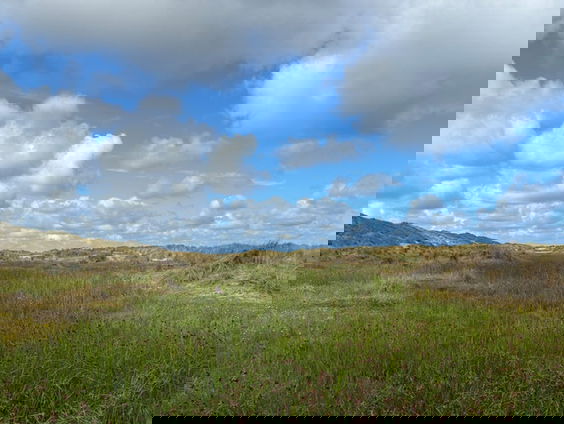 Uniek zoetwatergebied op het strand van Terschelling