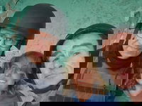 Wat oorlog met onze podcastmakers deed