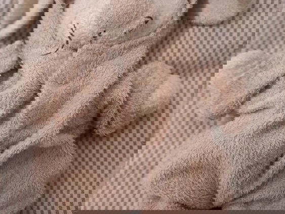 Kletsen met knuffel Koeka