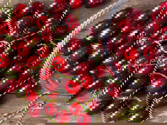 Kersentelers worstelen met bestrijding suzuki-fruitvlieg