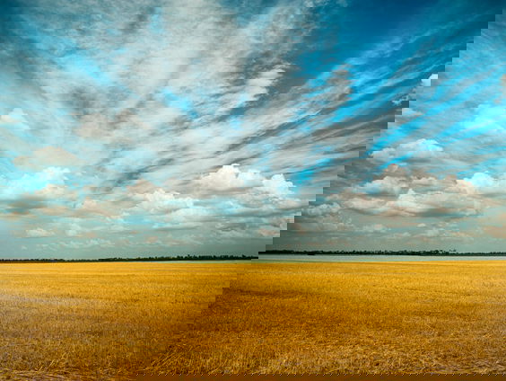 Ondernemer in Oekraïne over een vestiging in oorlogsgebied Oekraïne