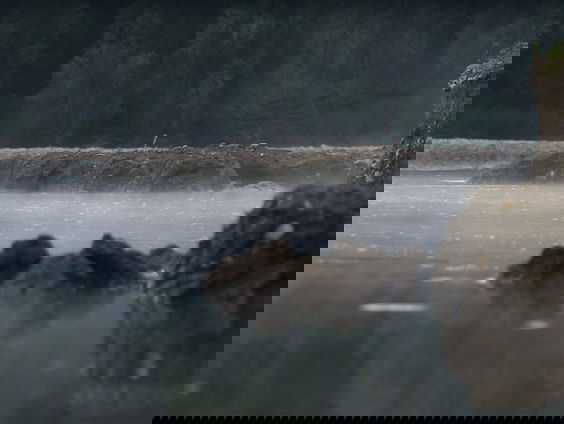 Conflict over dam in de Grensmaas