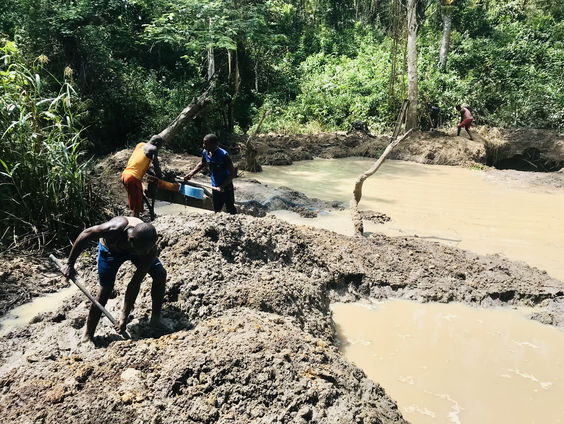 De witte weldoeners van African Parks #2: 'Ons' Afrika