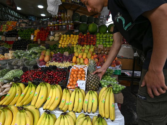 Alles over de geschiedenis van fruit: 'Vruchten waren vroeger medicijnen'