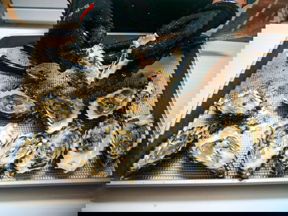 Lotte den Ouden jongste Nederlands kampioen oestersteken ooit