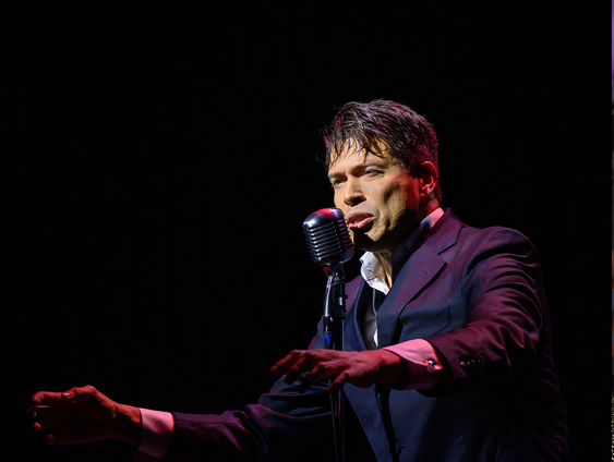 Sjors van der Panne, zanger en acteur