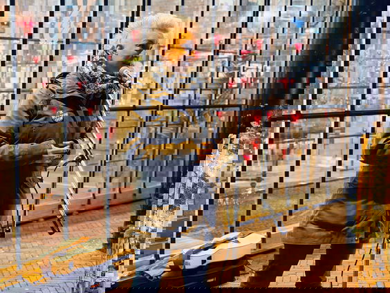 Stilstaan bij rouw tijdens de feestdagen