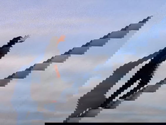 Zit Europa gevangen in een Trumpiaanse Truman-show?