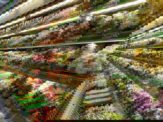 Boek 'De toekomst heeft haast; over het huidige voedselsysteem