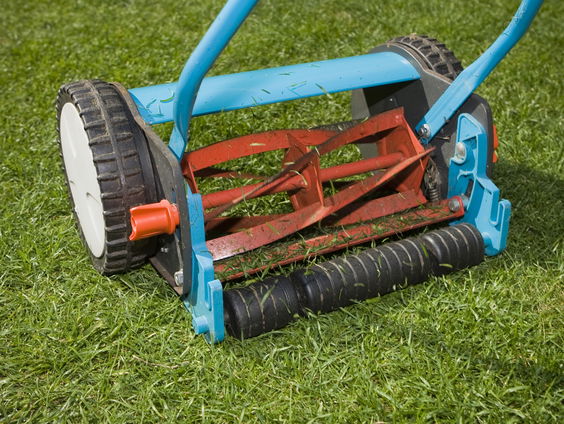 Huisvriend Rick Middelbos over de effecten van machinaal maaien van je tuin