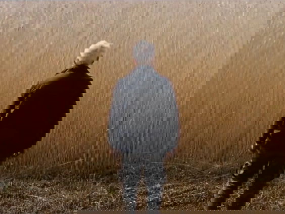 Rietland, thriller én tijdsbeeld van de rietcultuur