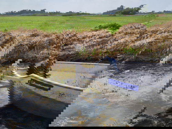 Gooi geen exoot in de sloot