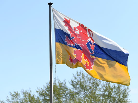 Wat zijn de voor- en nadelen van taalstatus zoals Fries?