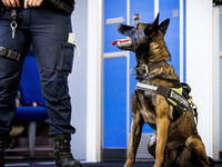 Is inzet politiehonden nog van deze tijd?