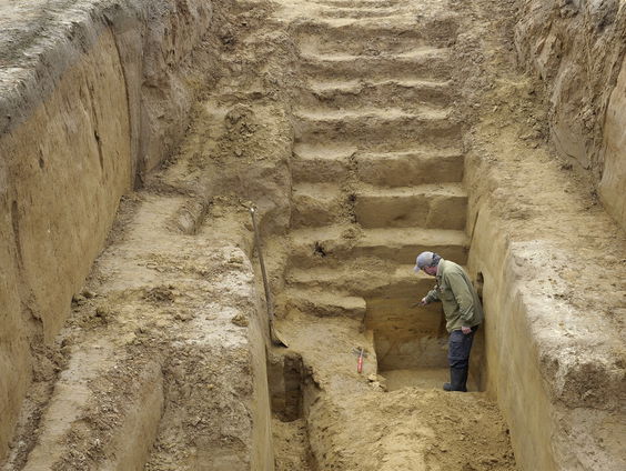 Waarom de dieren in de grond reuze-interessant zijn