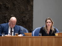 Ruzie in het kabinet om de mestplannen van landbouwminister Wiersma