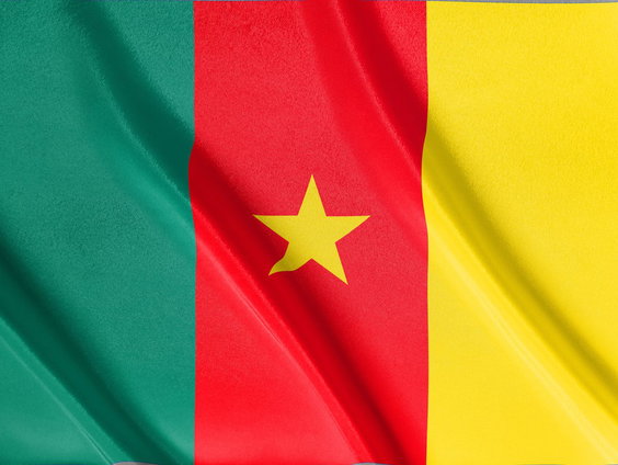 De voetbalplaatjes van Senegal!