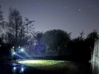 De heikikkers zijn vroeg dit jaar!