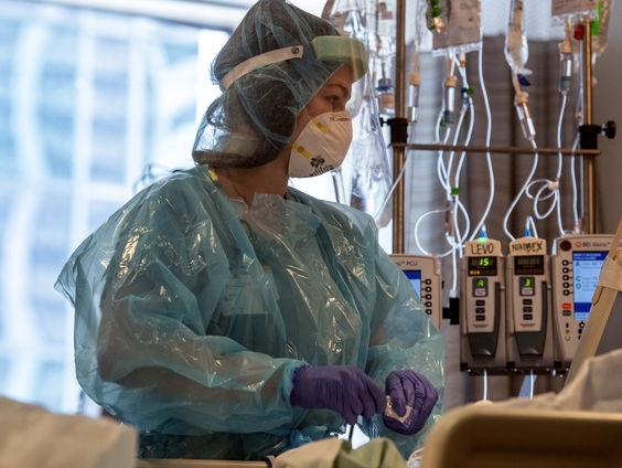 Wat betekent het transplanteren van een varkenslong voor de xenotransplantatie?