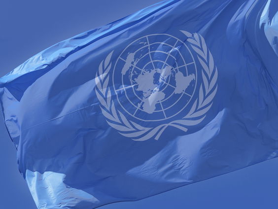 80 jaar VN: papieren tijger of beschermer van de wereldorde?