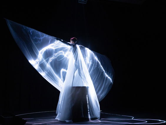 Wat maakt de ontwerpen van Iris van Herpen zo aantrekkelijk voor internationale sterren?