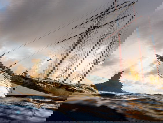 In de voetsporen van Darwin