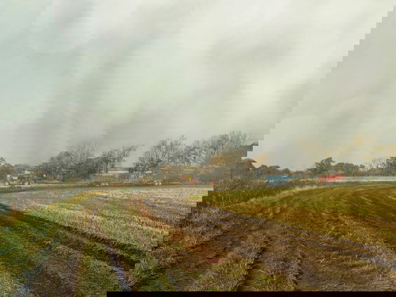 Onderzoek bewijst verband glyfosaat en kanker: 'Dit is baanbrekend'