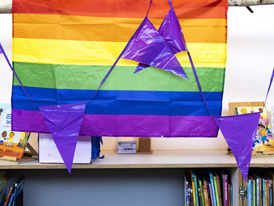 De Paarse Boekenlijst: 'Het is normaal om queer te zijn'