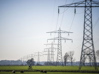 D66-Kamerlid Felix Klos kijkt naar links voor oplossen netcongestie