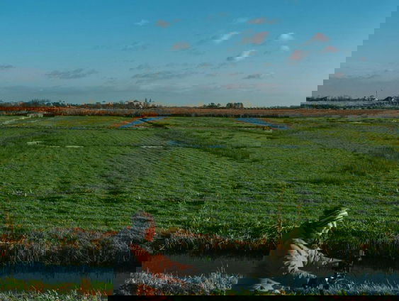 Waarom zijn veel mensen somberder over het land dan hun eigen leven?