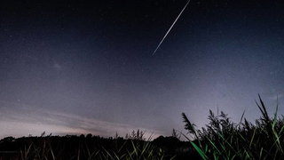 Deze sterrenregen siert vannacht onze hemel na het eclips-spektakel